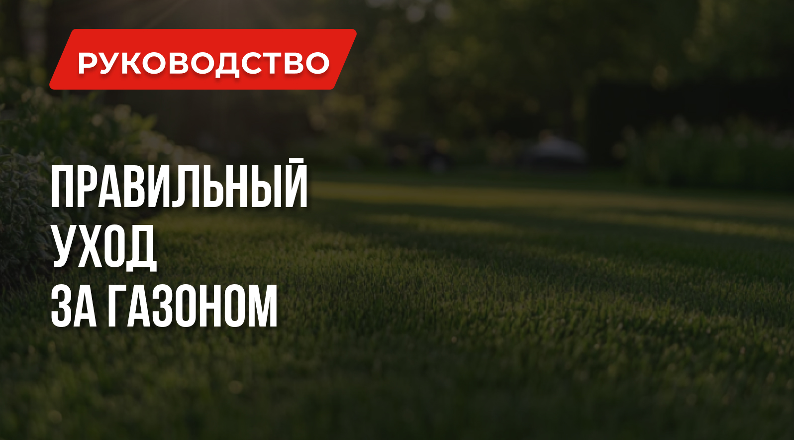 Как правильно ухаживать за газоном? Как правильно ухаживать за газоном?