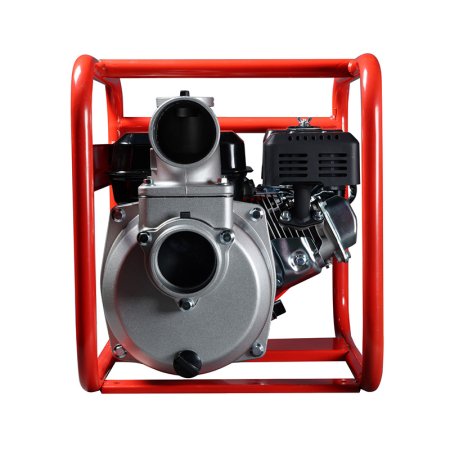 FUBAG Бензиновая мотопомпа для чистой воды PG 1000 в Тамбове фото