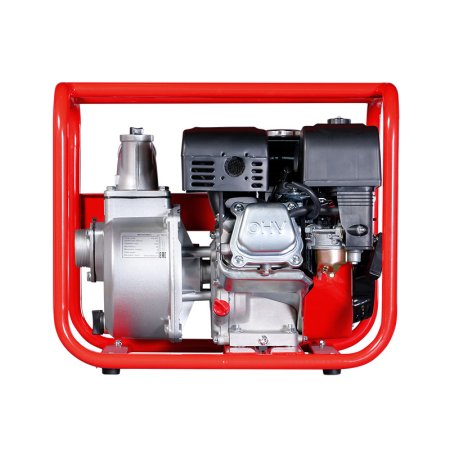 FUBAG Бензиновая мотопомпа для чистой воды PG 600 в Тамбове фото